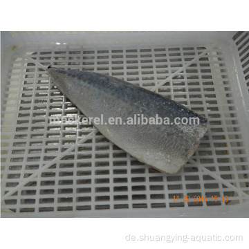 Chinesische Fisch Frozen Pacific Makrele Filet